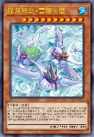 随风旅鸟×雪猫头鹰