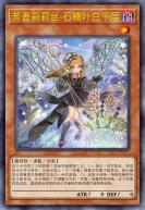 芳香莉莉丝-石楠叶白千层